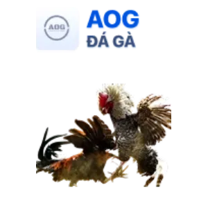 Nổ Hũ Xóc Đĩa 88