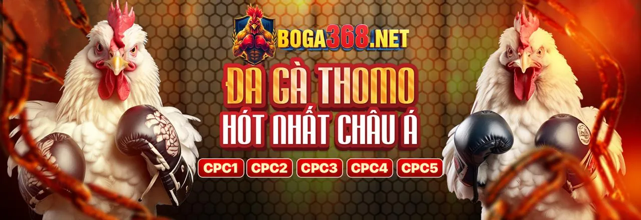 Đá gà trực tuyến kịch tính tại Xóc Đĩa 88